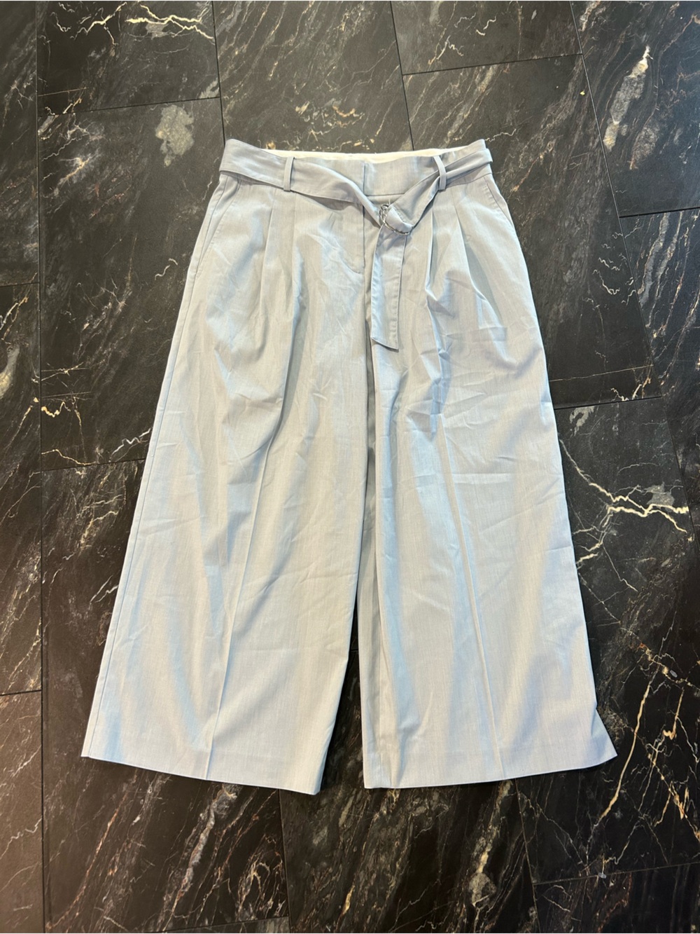 Ann Taylor Pale Blue Dress Pants